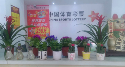 1454553976789465.jpg 体彩大乐透头奖迎新年,百万大奖邀您沾喜气、做公益1.jpg