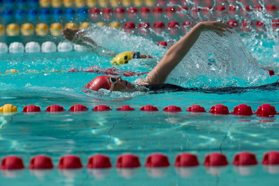 1502183429789400.jpg 1.jpg