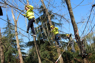 1510646707689311.jpg 5.jpg