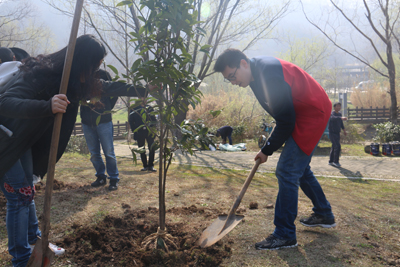1520909139951055.jpg 留住绿水青山,南京体彩义务植树为博爱之都添彩抹绿3.jpg