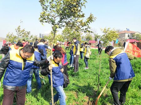 1552532020916610.jpg 3_副本.jpg