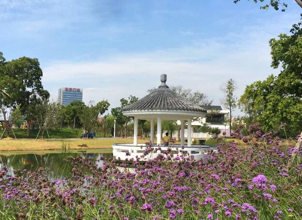 1574325790194933.jpg QQ截图20191121164725.jpg