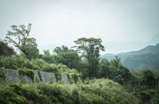 1598236782516328.png image.png