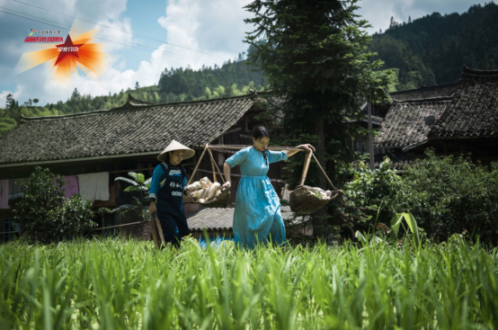 1599528920212385.png image.png