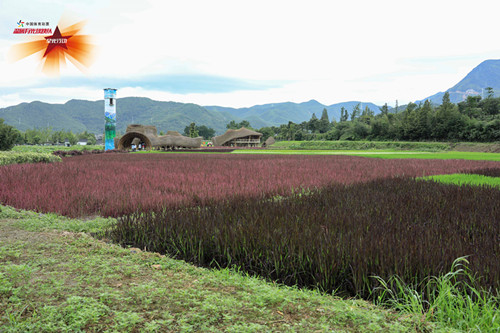 1600651919789828.jpg 图1_副本.jpg