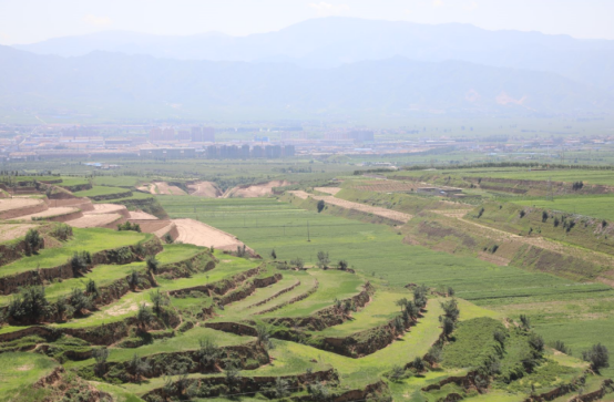 1602486911450679.png image.png