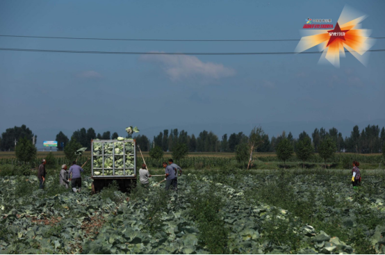 1602486956141255.png image.png