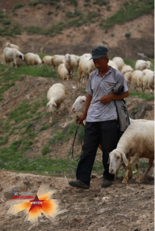 1602486999204696.png image.png