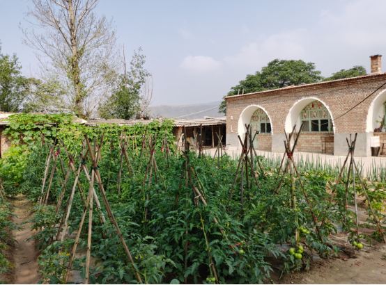 1602487025410663.png image.png