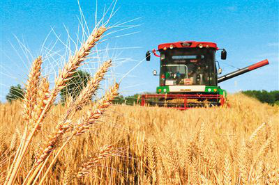 1602551223304157.png 1.png