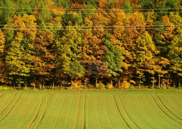 1602551322605192.png 6.png