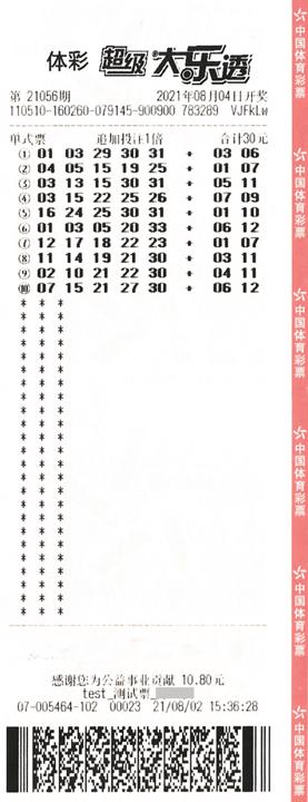 大乐透1票10注票样_副本.jpg 大乐透1票10注票样_副本.jpg