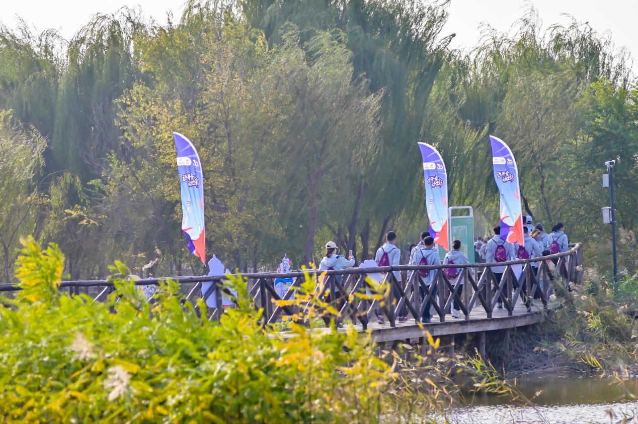 63943d664f47f34dbefa0bf9751fcc0e