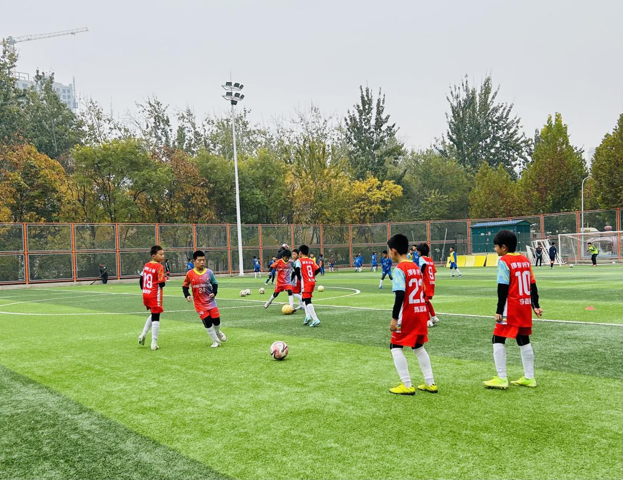 微信图片_20241126190230